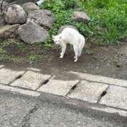 ヒメ日記 2026/09/14 17:31 投稿 Haru【ハル】 Club Lumine(中津)
