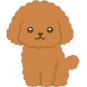 ヒメ日記 2026/09/29 07:00 投稿 Haru【ハル】 Club Lumine(中津)