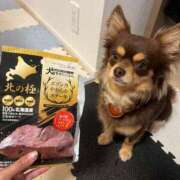 ヒメ日記 2026/10/11 19:42 投稿 Haru【ハル】 Club Lumine(中津)