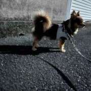 ヒメ日記 2026/10/12 05:55 投稿 Haru【ハル】 Club Lumine(中津)