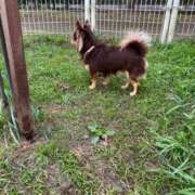 ヒメ日記 2026/10/20 07:45 投稿 Haru【ハル】 Club Lumine(中津)