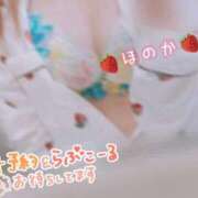 Honoka【ほのか】 18時から🧚️ Club Lumine(中津)