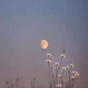 ヒメ日記 2026/02/21 23:17 投稿 美空【みく】 Club Lumine(中津)