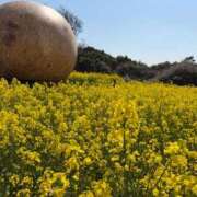 ヒメ日記 2026/03/21 13:28 投稿 ひいろ Club Lumine(中津)