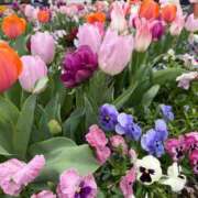 ヒメ日記 2026/04/08 16:14 投稿 ひいろ Club Lumine(中津)