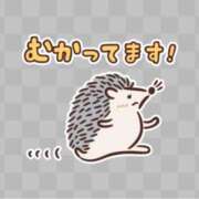 ヒメ日記 2025/07/17 19:32 投稿 Sana【サナ】 Club Lumine(中津)