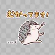 ヒメ日記 2025/07/18 12:05 投稿 Sana【サナ】 Club Lumine(中津)