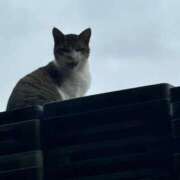 ヒメ日記 2025/08/08 10:17 投稿 海音【みおと】 Club Lumine(中津)