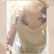 ヒメ日記 2025/06/16 10:29 投稿 倉科 華恋人(カレント)