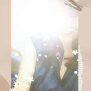 ヒメ日記 2025/08/04 17:03 投稿 倉科 華恋人(カレント)