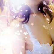 ヒメ日記 2025/08/17 10:38 投稿 倉科 華恋人(カレント)