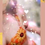 ヒメ日記 2025/11/26 10:37 投稿 倉科 華恋人(カレント)