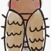 ヒメ日記 2025/07/25 10:33 投稿 加恋【かれん】 La Rouge(中津)