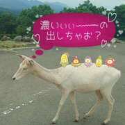 ヒメ日記 2025/07/26 10:01 投稿 加恋【かれん】 La Rouge(中津)