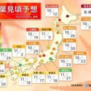 ヒメ日記 2025/10/12 15:30 投稿 加恋【かれん】 La Rouge(中津)