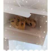 ヒメ日記 2025/11/02 17:31 投稿 加恋【かれん】 La Rouge(中津)