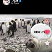 ヒメ日記 2025/11/19 11:28 投稿 加恋【かれん】 La Rouge(中津)