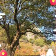 ヒメ日記 2026/01/01 08:45 投稿 加恋【かれん】 La Rouge(中津)