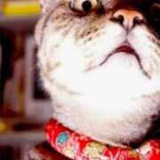 ヒメ日記 2026/01/14 16:00 投稿 加恋【かれん】 La Rouge(中津)