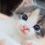 ヒメ日記 2026/01/17 20:01 投稿 加恋【かれん】 La Rouge(中津)