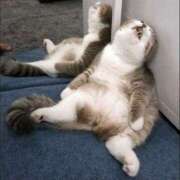 ヒメ日記 2026/02/02 09:45 投稿 加恋【かれん】 La Rouge(中津)