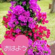 ヒメ日記 2026/07/06 09:15 投稿 加恋【かれん】 La Rouge(中津)
