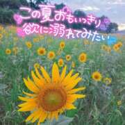 ヒメ日記 2026/08/13 14:00 投稿 加恋【かれん】 La Rouge(中津)
