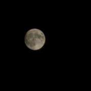 ヒメ日記 2026/07/29 00:01 投稿 かんな La Rouge(中津)
