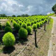 ヒメ日記 2025/07/28 11:31 投稿 美月【みつき】 La Rouge(中津)