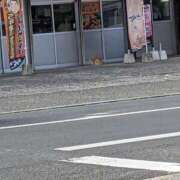 ヒメ日記 2026/02/01 11:42 投稿 つむぎ La Rouge(中津)