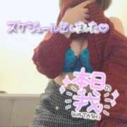 ヒメ日記 2026/03/22 10:30 投稿 つむぎ La Rouge(中津)