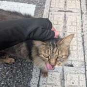 ヒメ日記 2025/09/21 16:24 投稿 月颯【かぐや】 La Rouge(中津)