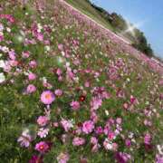 ヒメ日記 2025/10/13 17:46 投稿 紗千【さち】 La Rouge(中津)