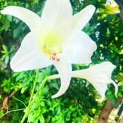 ヒメ日記 2025/09/22 18:17 投稿 和音【かのん】 La Rouge(中津)