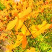 ヒメ日記 2025/10/03 20:32 投稿 和音【かのん】 La Rouge(中津)