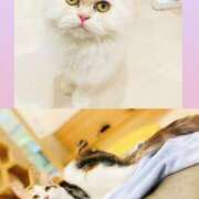 ヒメ日記 2025/11/12 19:09 投稿 和音【かのん】 La Rouge(中津)