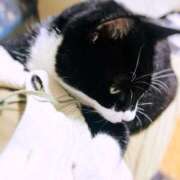 ヒメ日記 2025/11/19 17:13 投稿 和音【かのん】 La Rouge(中津)