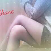 ヒメ日記 2025/11/05 11:58 投稿 紅音【あかね】 La Rouge(中津)