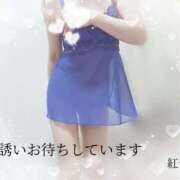 ヒメ日記 2025/12/19 19:00 投稿 紅音【あかね】 La Rouge(中津)