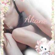 ヒメ日記 2026/03/09 18:51 投稿 紅音【あかね】 La Rouge(中津)