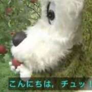 ヒメ日記 2025/10/04 09:47 投稿 このみ 埼玉西川口ショートケーキ（シンデレラグループ）