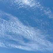 おとは あらら オトナ女子倶楽部