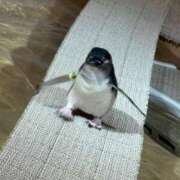 ヒメ日記 2025/12/05 08:29 投稿 おとは オトナ女子倶楽部