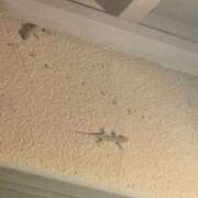 ヒメ日記 2025/06/14 10:58 投稿 内山歩美(あゆみ) 東京不倫～とうきょうふりん～