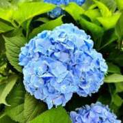 ヒメ日記 2025/06/15 12:58 投稿 内山歩美(あゆみ) 東京不倫～とうきょうふりん～