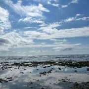 ヒメ日記 2025/06/25 00:18 投稿 内山歩美(あゆみ) 東京不倫～とうきょうふりん～