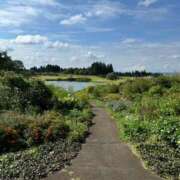 ヒメ日記 2025/06/26 00:58 投稿 内山歩美(あゆみ) 東京不倫～とうきょうふりん～