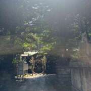 ヒメ日記 2025/06/29 11:28 投稿 内山歩美(あゆみ) 東京不倫～とうきょうふりん～