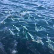 ヒメ日記 2025/07/07 10:58 投稿 内山歩美(あゆみ) 東京不倫～とうきょうふりん～