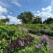 ヒメ日記 2025/07/09 22:48 投稿 内山歩美(あゆみ) 東京不倫～とうきょうふりん～